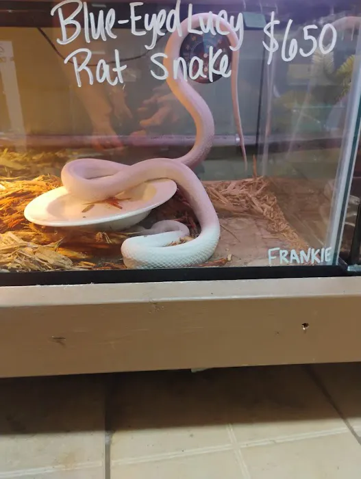 K-BAM Exotic Pet Store 3