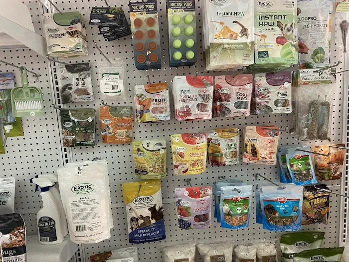 K-BAM Exotic Pet Store 8