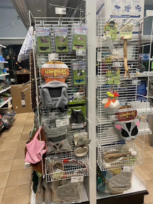 K-BAM Exotic Pet Store 10