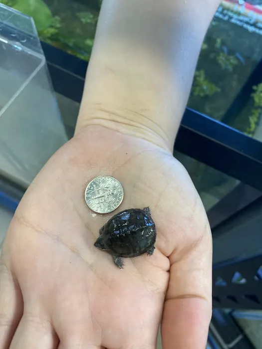 K-BAM Exotic Pet Store 6