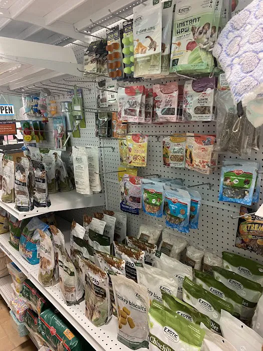 K-BAM Exotic Pet Store 2