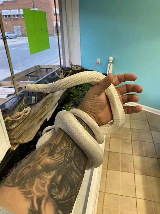 K-BAM Exotic Pet Store 1