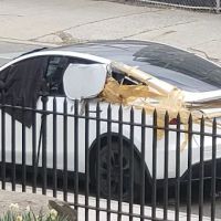 De Witt Clinton Dog Run ico