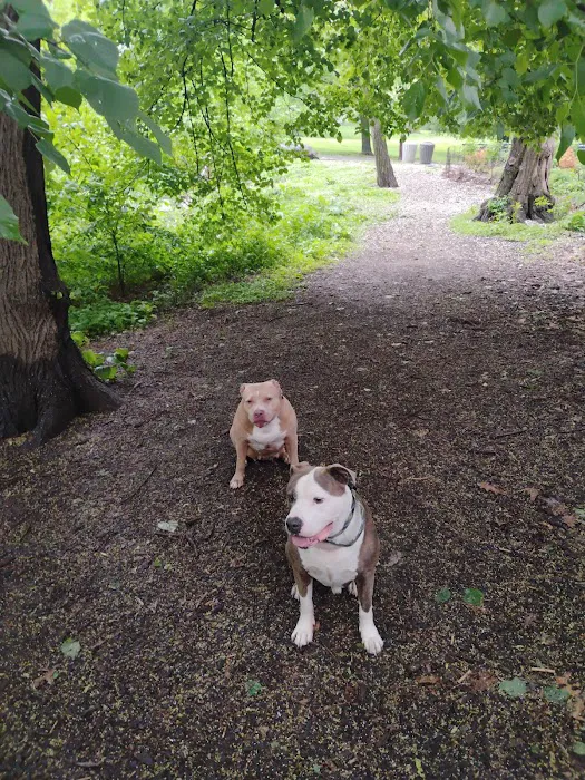 De Witt Clinton Dog Run 6
