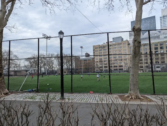 De Witt Clinton Dog Run 9