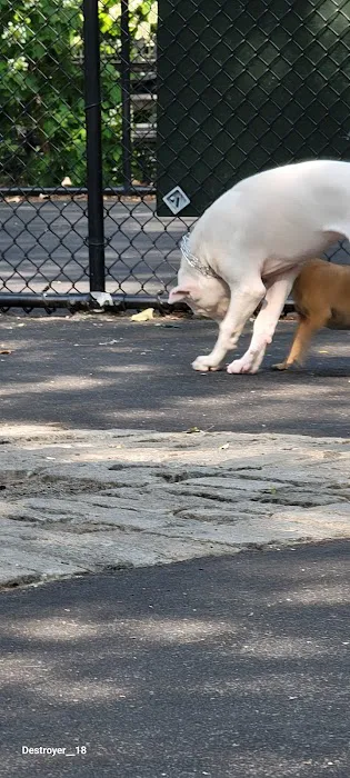 De Witt Clinton Dog Run 4