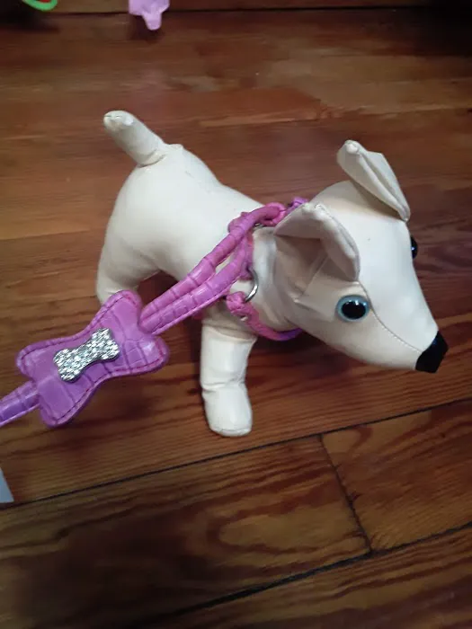 DOGMA & FETCH 5