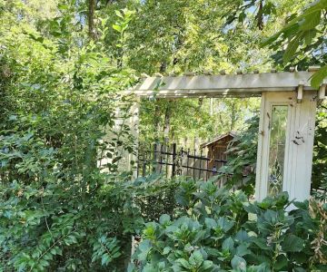 Southern Pond Management