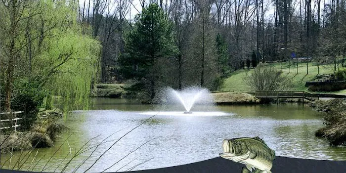 Southern Pond Management 2