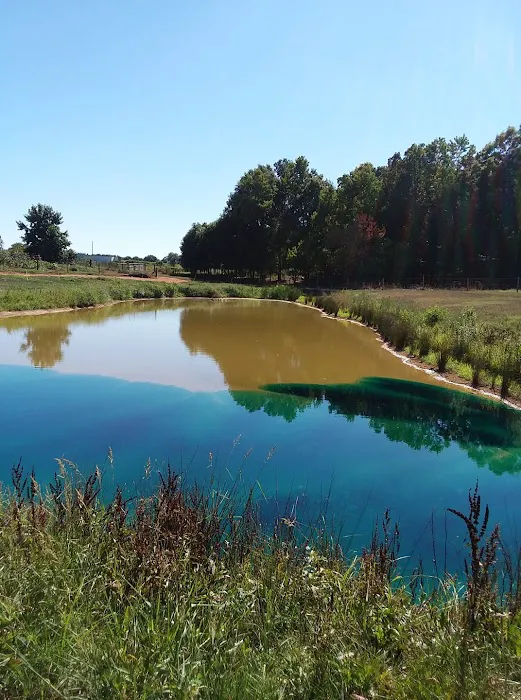 Southern Pond Management 4