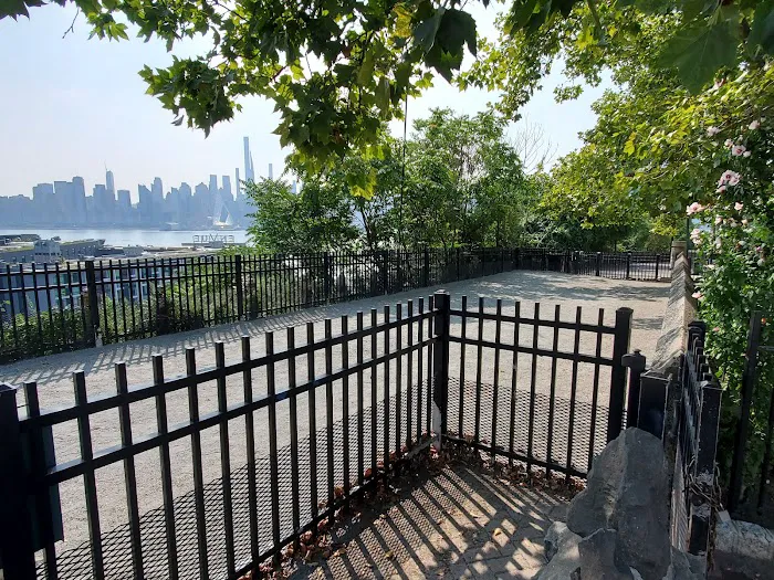 Dog Park 1