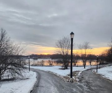 Silver Lake Dog Run