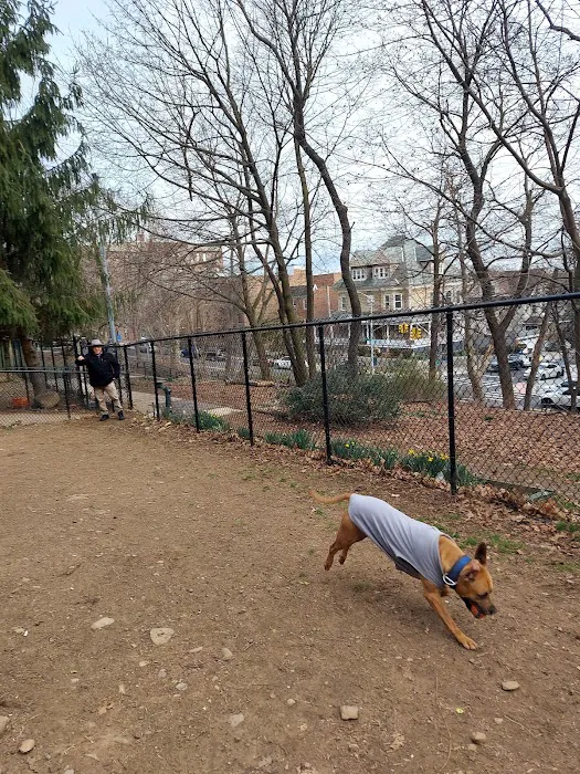 K9 Korral Dog Run 4