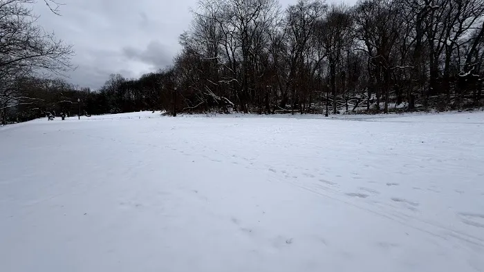 K9 Korral Dog Run 1