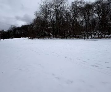 K9 Korral Dog Run
