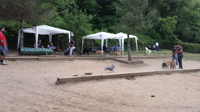 K9 Korral Dog Run 3
