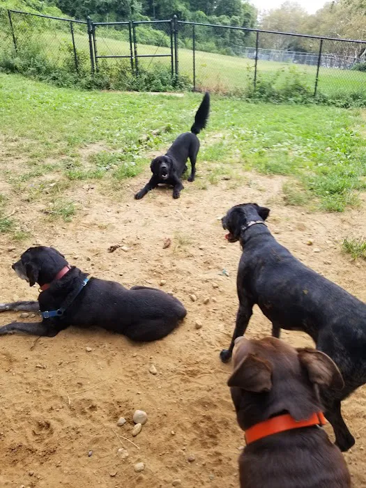K9 Korral Dog Run 6