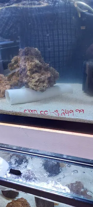 River and Reef Aquatics 2
