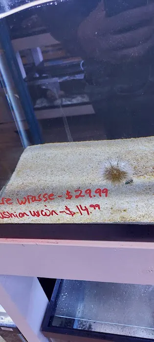 River and Reef Aquatics 4