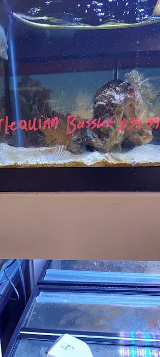 River and Reef Aquatics 6
