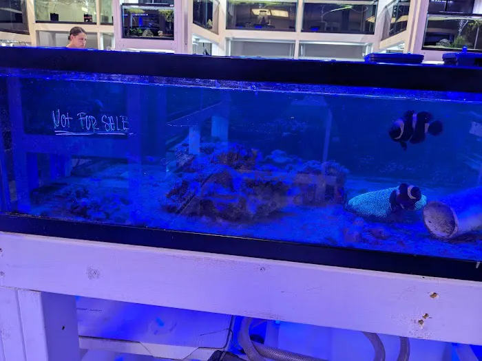 River and Reef Aquatics 5