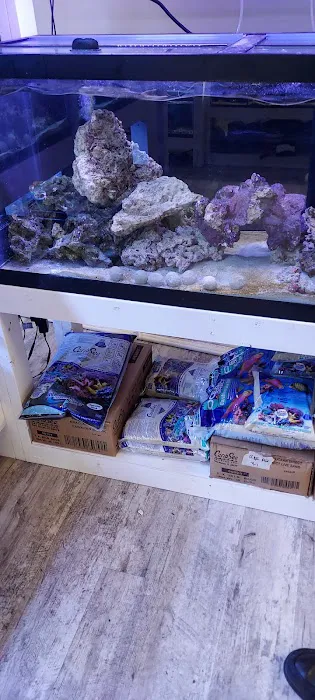 River and Reef Aquatics 7