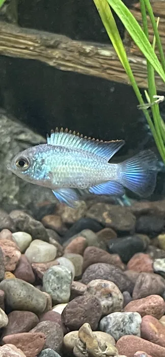 River and Reef Aquatics 10