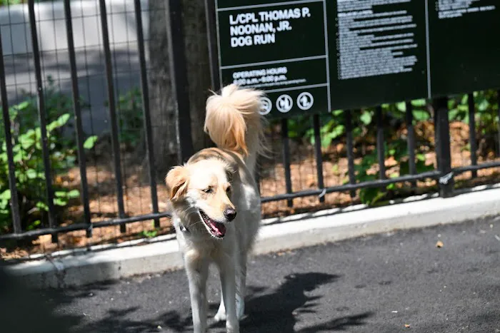 Noonan Park Dog Run 1