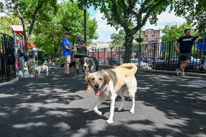 Noonan Park Dog Run 4