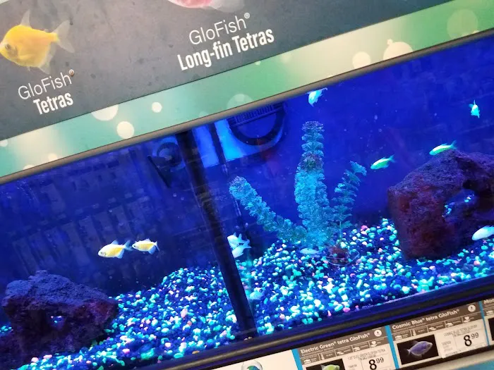 Petco 7