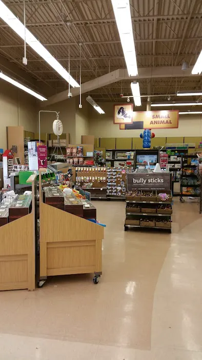 Petco 2