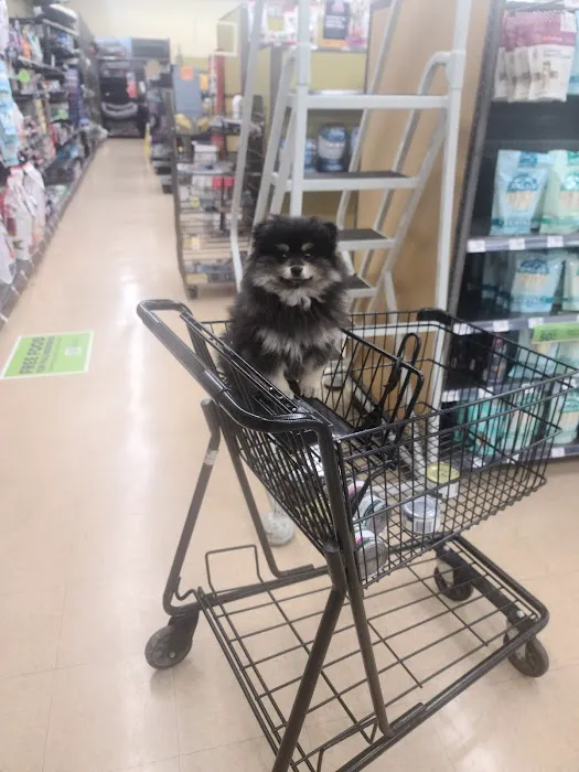 Petco 4