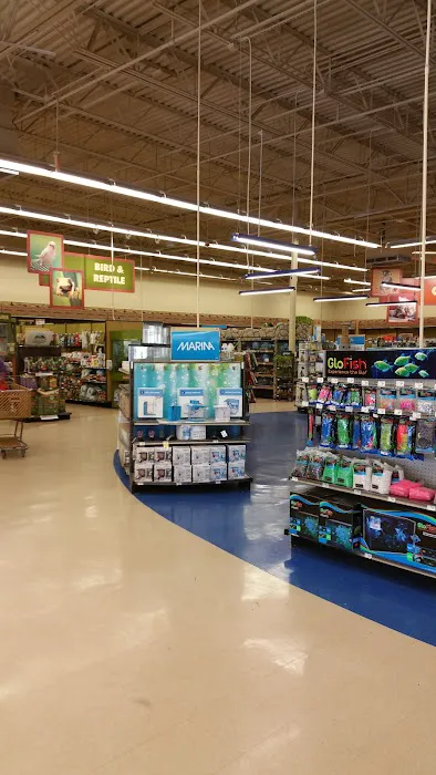 Petco 8
