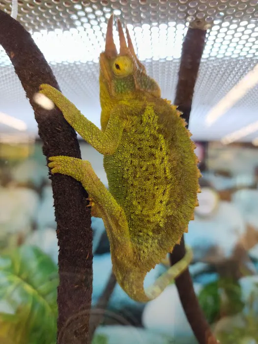 Petco 10