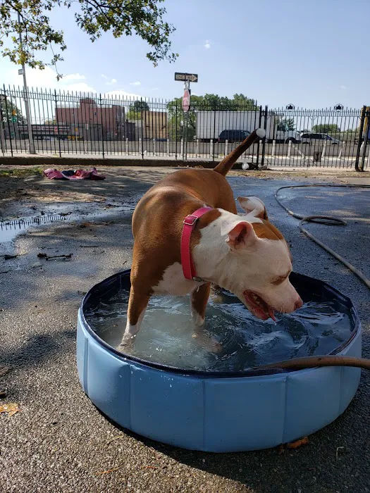 Sherry Dog Run 1