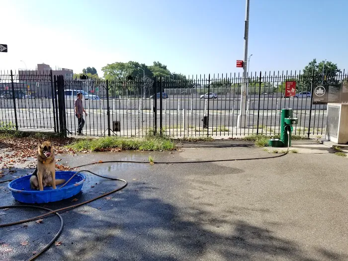 Sherry Dog Run 5