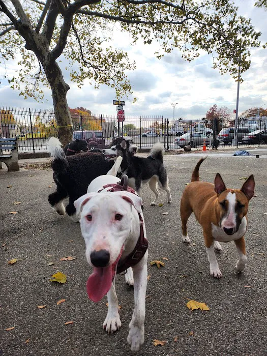 Sherry Dog Run 9