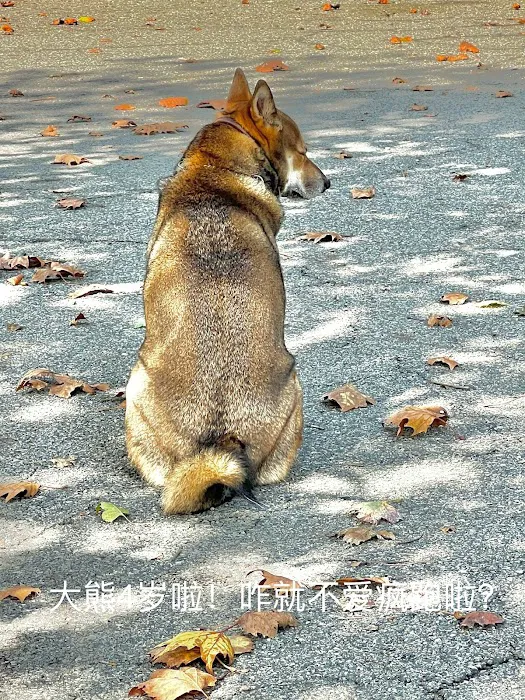 Sherry Dog Run 10