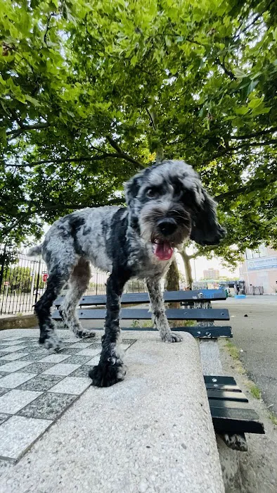 Sherry Dog Run 7