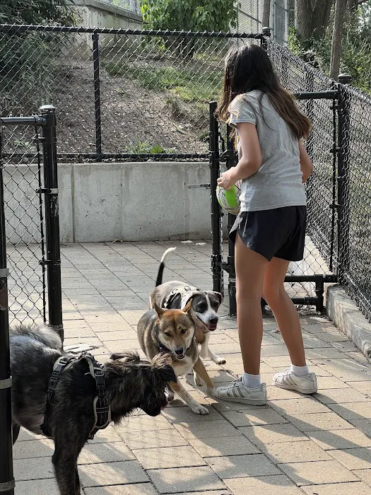 Doughboy Plaza Dog Run 5