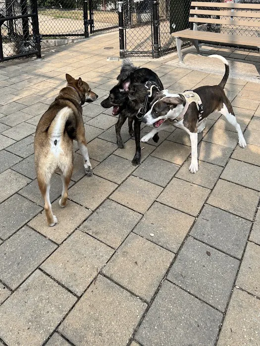 Doughboy Plaza Dog Run 6