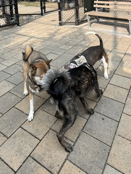 Doughboy Plaza Dog Run 7