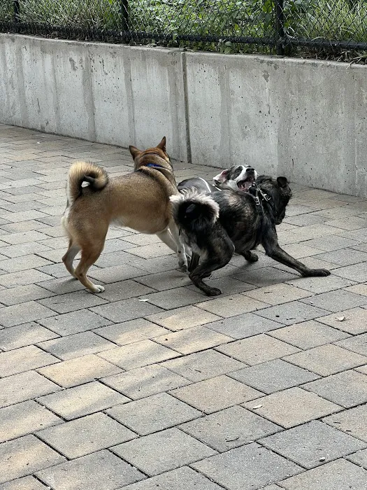 Doughboy Plaza Dog Run 9
