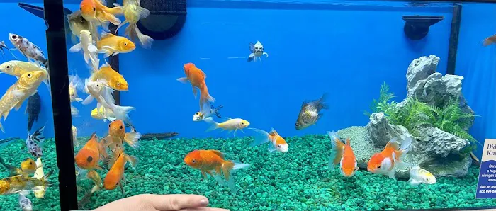 Pet Supermarket 6