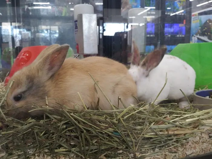 Pet Supermarket 10