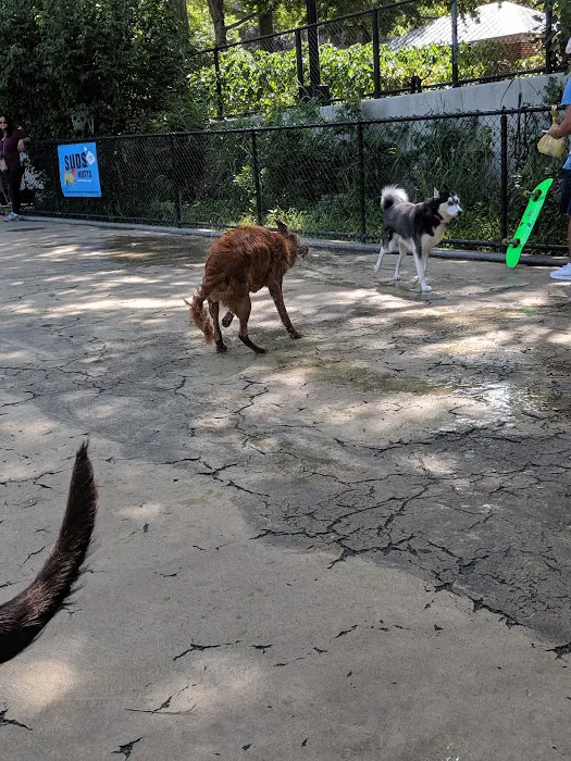 Torsney Dog Run 2