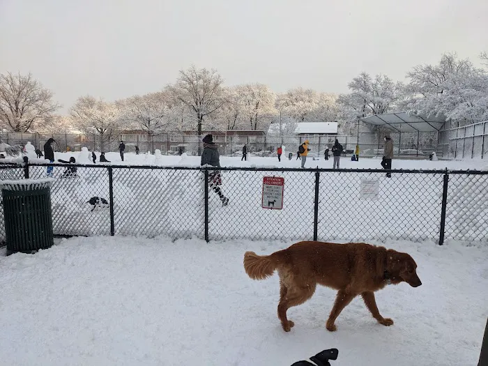 Torsney Dog Run 4