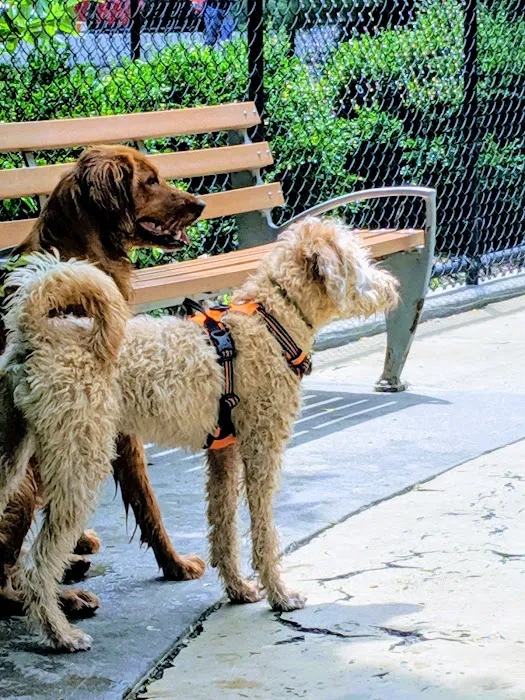 Torsney Dog Run 8