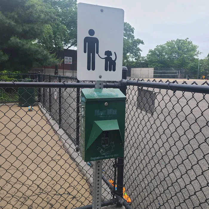Torsney Dog Run 9