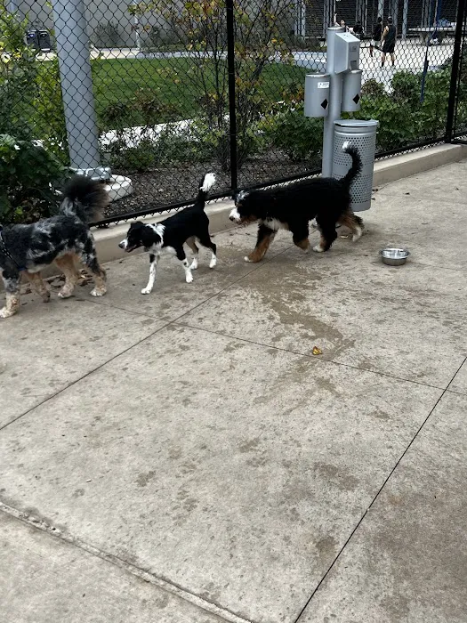 Sven Dog Park 1